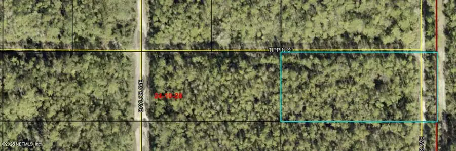 0 Amos Avenue, Hastings, FL 32145 - Image #2