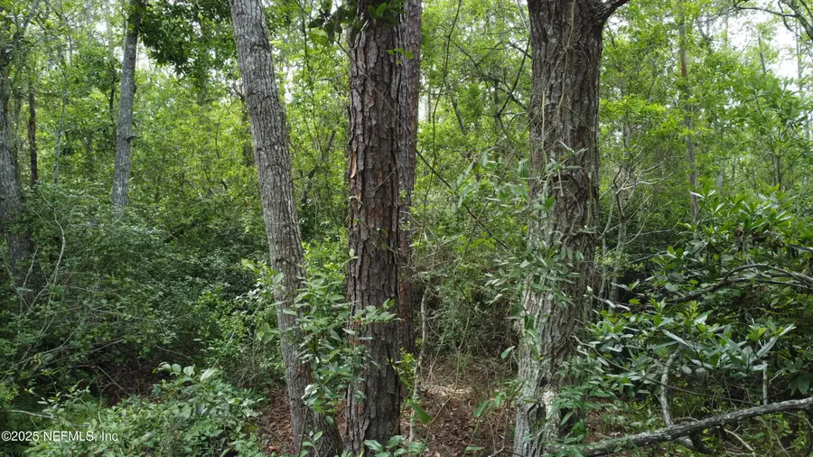 156 E Alachua Street, Palatka, FL 32177 - Image #2