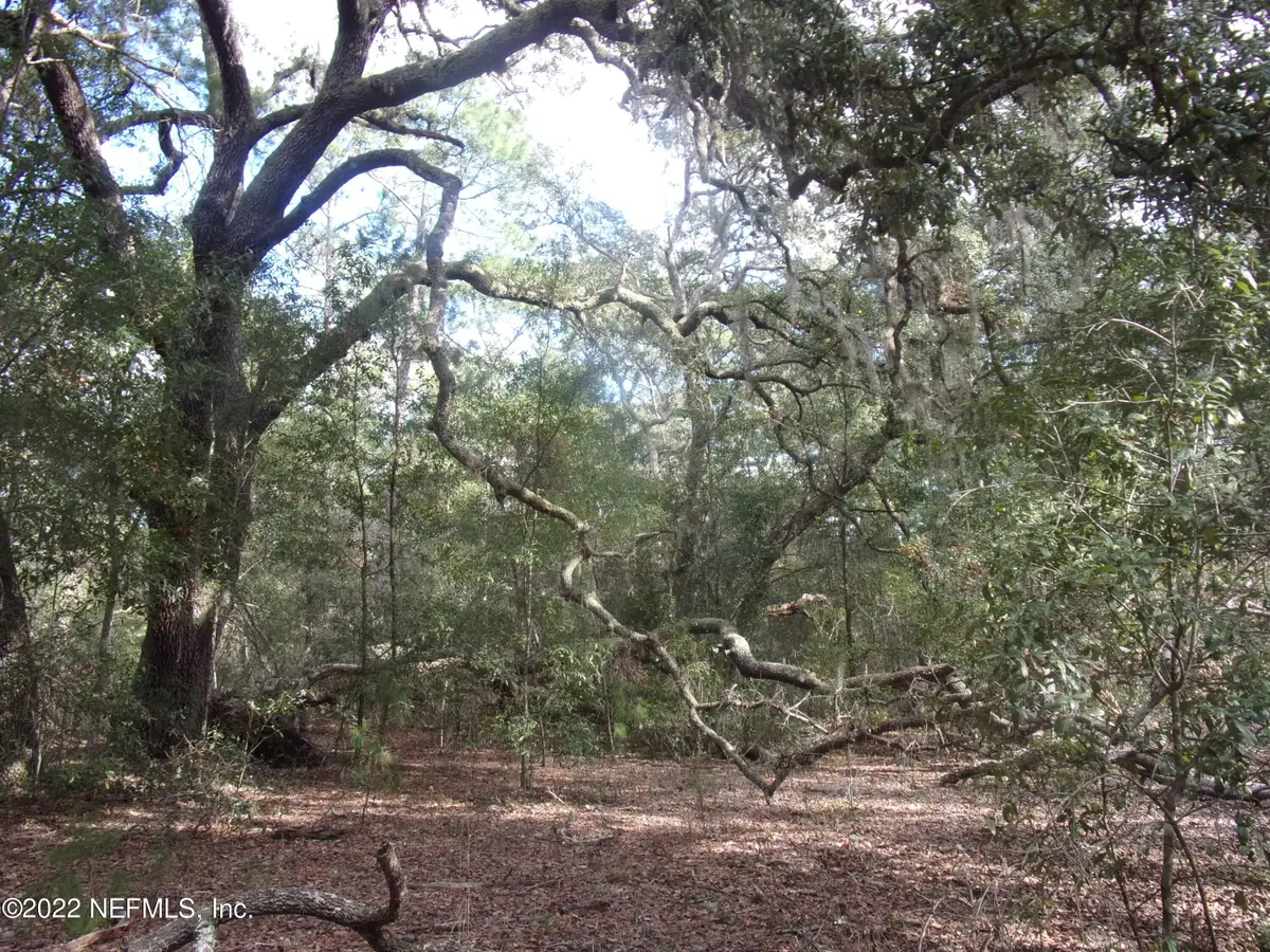 0 S County Road 315, Interlachen, FL 32148 - Image #1