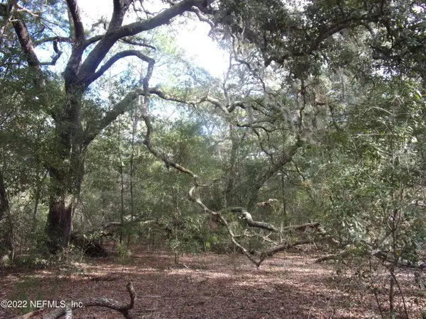 0 S County Road 315, Interlachen, FL 32148