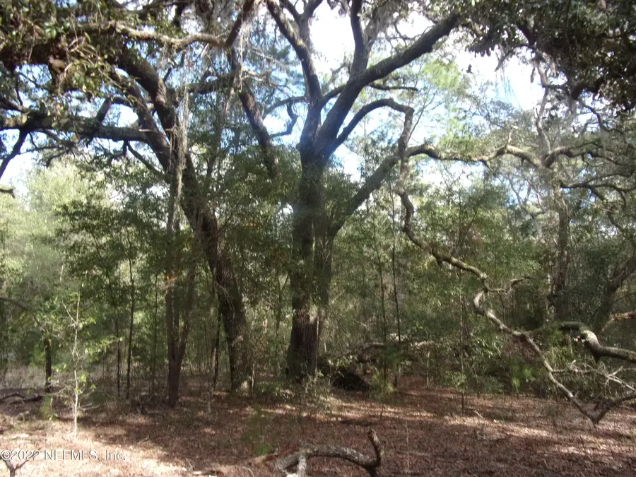 0 S County Road 315, Interlachen, FL 32148 - Image #2