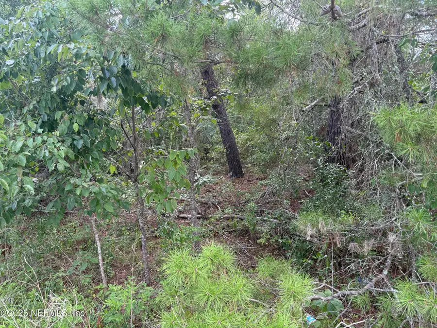 121 Istanbul Street, Interlachen, FL 32148 - Image #3