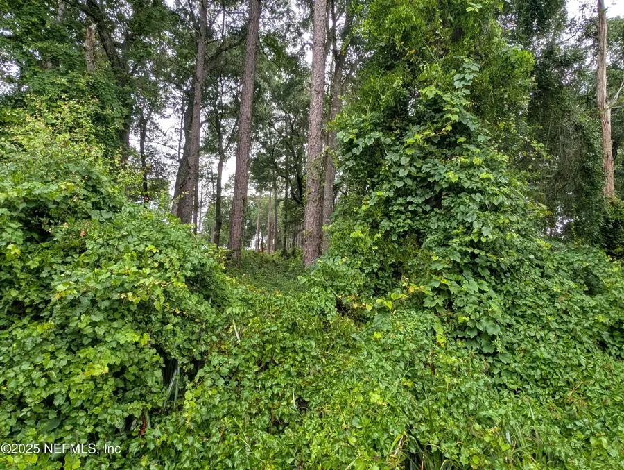 00 Se 1st Avenue, Keystone Heights, FL 32656 - Image #3