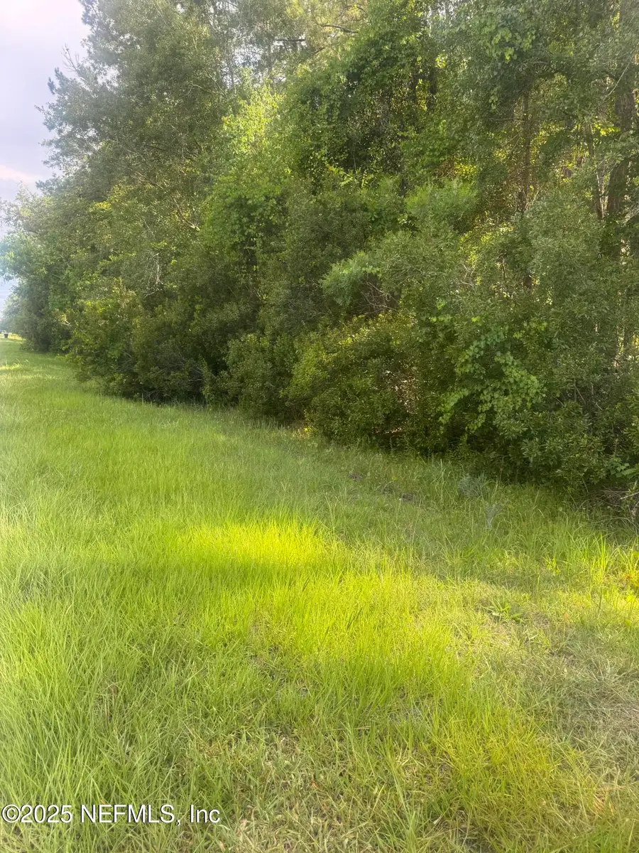 17804 NE 1471 Ne County Road, Waldo, FL 32694 - Image #2