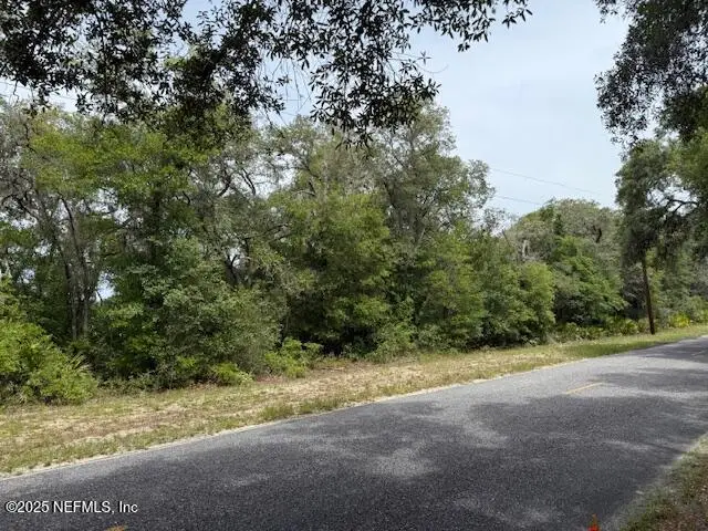 XXX S Francis Street, Interlachen, FL 32148 - Image #1
