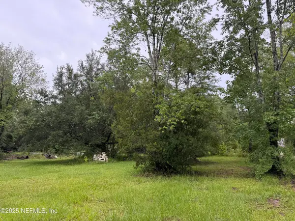 2304 Greenbrier Drive, Middleburg, FL 32068