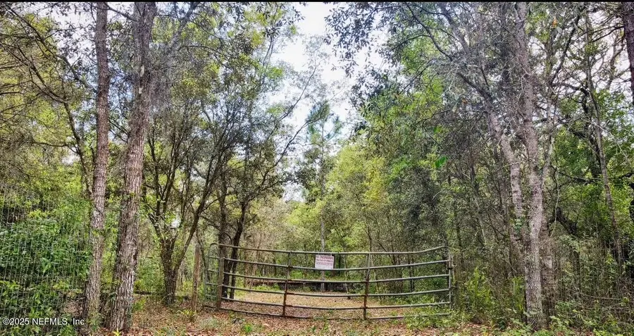 139 Sleepy Hollow Drive, Interlachen, FL 32148 - Image #3