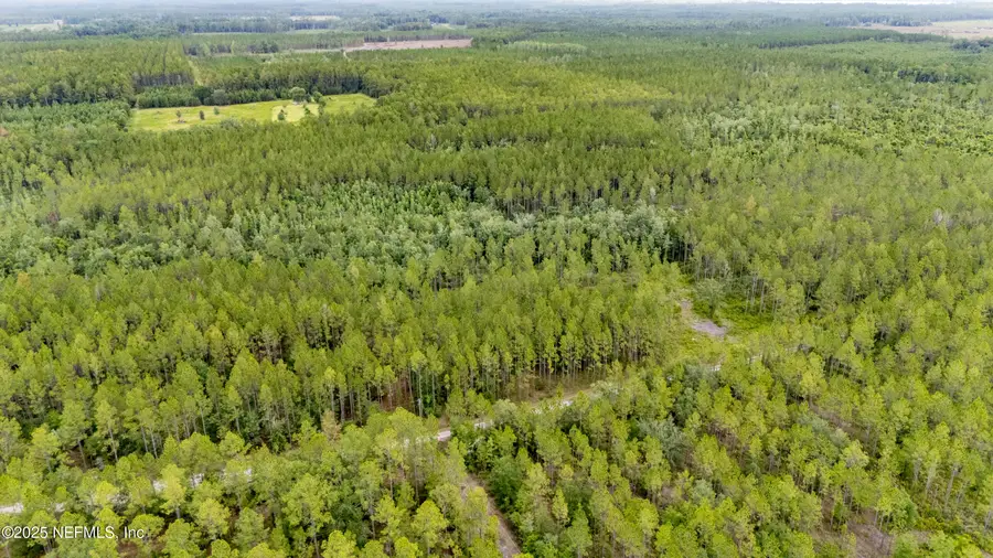 TBD NW 147th Avenue, Lake Butler, FL 32054 - Image #3