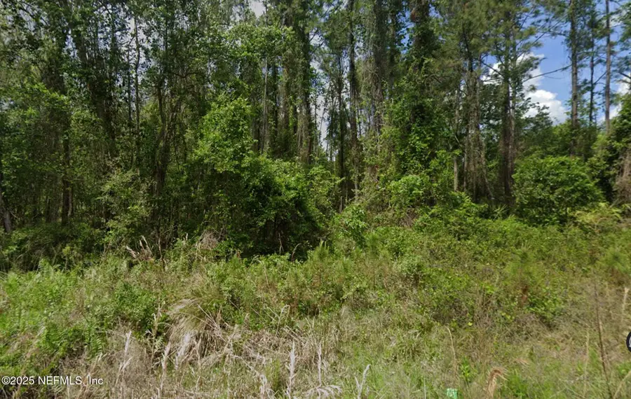 140 Edgemere Drive, Georgetown, FL 32139 - Image #2