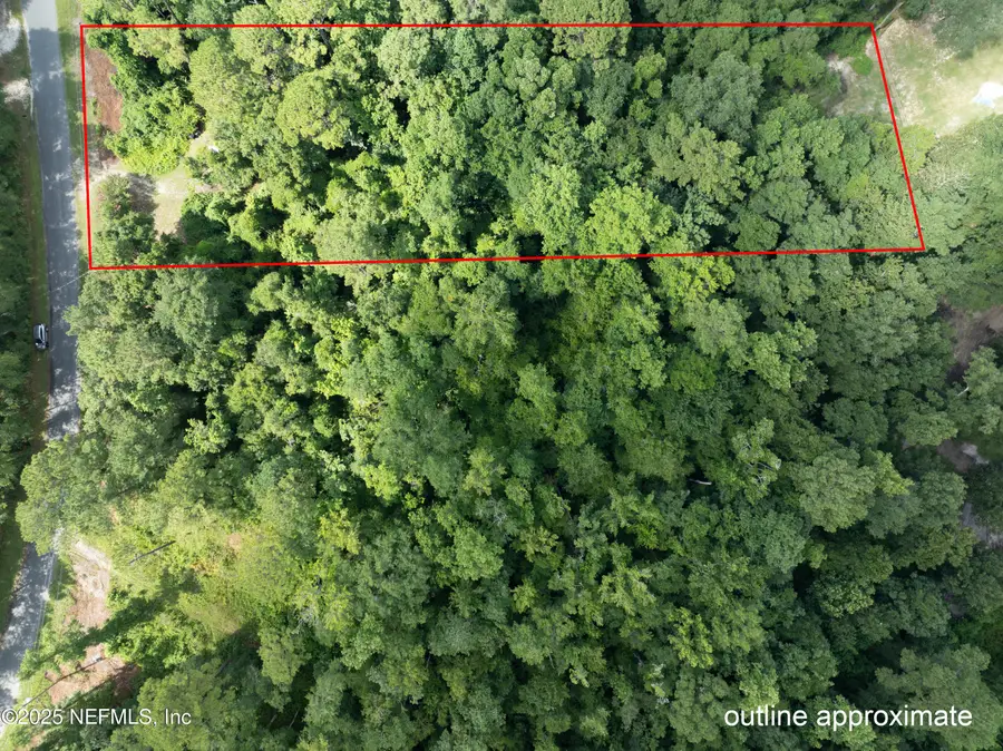 5165 Chicory Circle, Middleburg, FL 32068 - #3