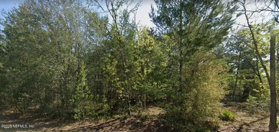 7577 Casa Grande Boulevard, Keystone Heights, FL 32656 - Image #2