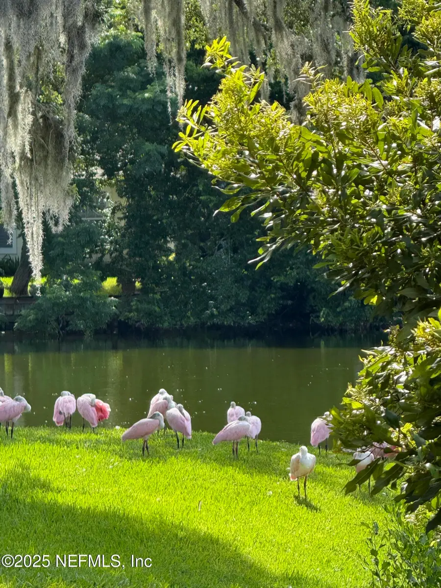 1886 Mourning Dove Lane, Jacksonville Beach, FL 32250 - Image #2