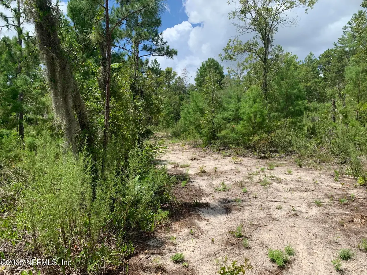 403 Lily Trail, Interlachen, FL 32148 - #1