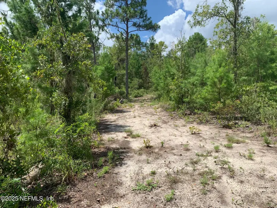 403 Lily Trail, Interlachen, FL 32148 - #3