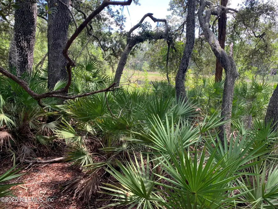 126 Pecan Avenue, Interlachen, FL 32148 - Image #2