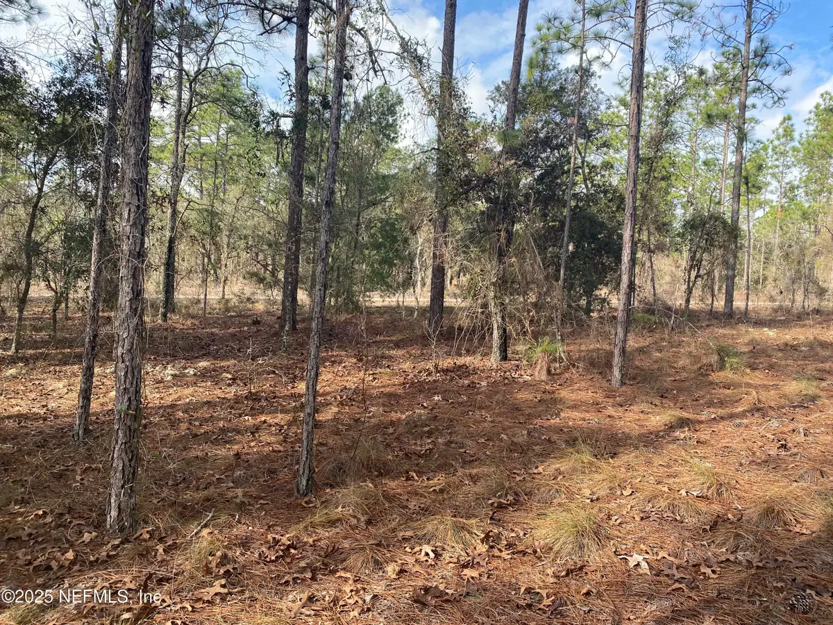LOT 20 Sw Buena Vista Sw Road, Dunnellon, FL 34431 - Image #1