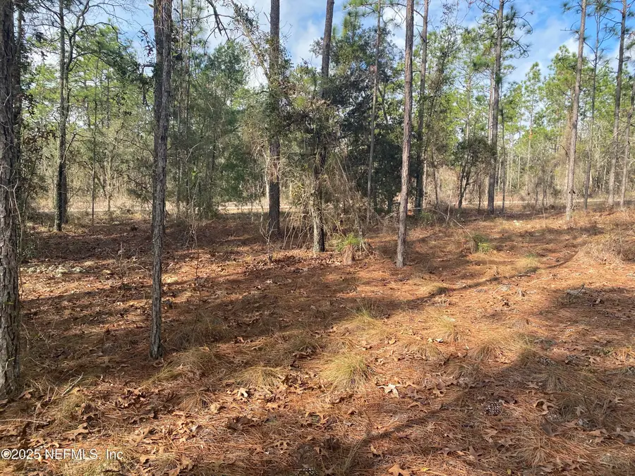 LOT 20 Sw Buena Vista Sw Road, Dunnellon, FL 34431 - Image #3