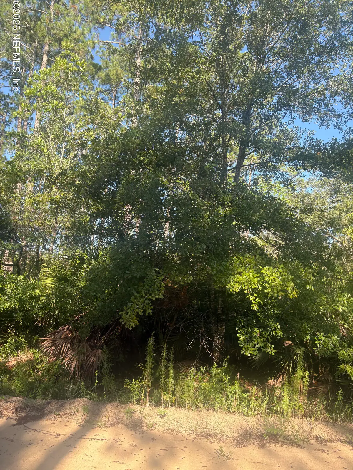 115 Houston Street, Interlachen, FL 32148 - #1