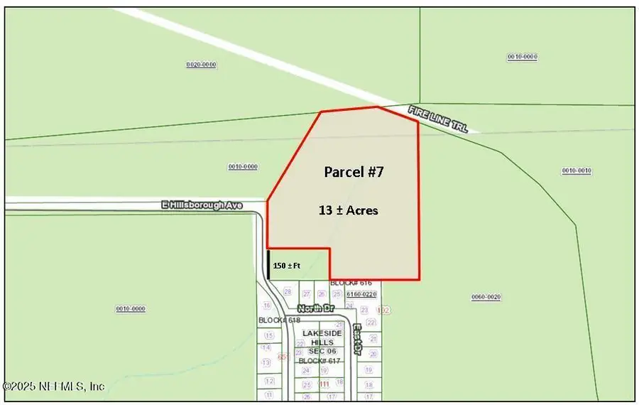 PARCEL 7 E Hillsborough Avenue, Florahome, FL 32140 - Image #2