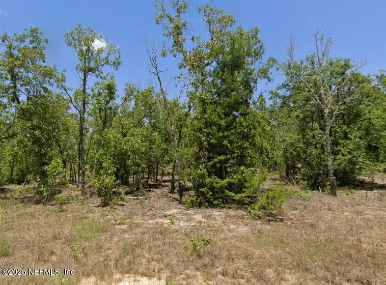 0 Delaware Drive, Hawthorne, FL 32640 - Image #3