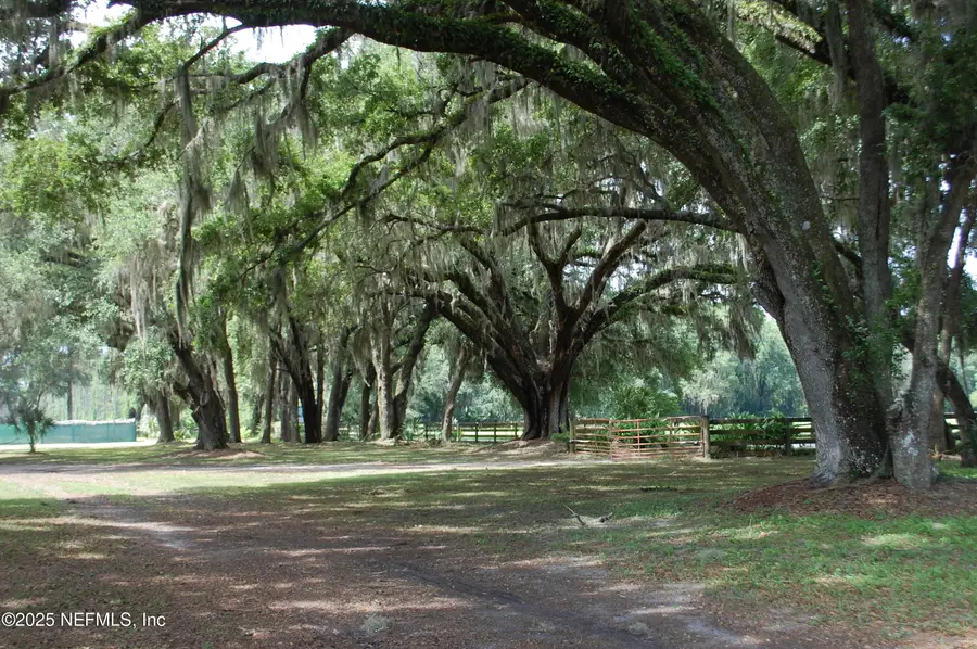 18811 SE 243rd Street, Hawthorne, FL 32640 - #2