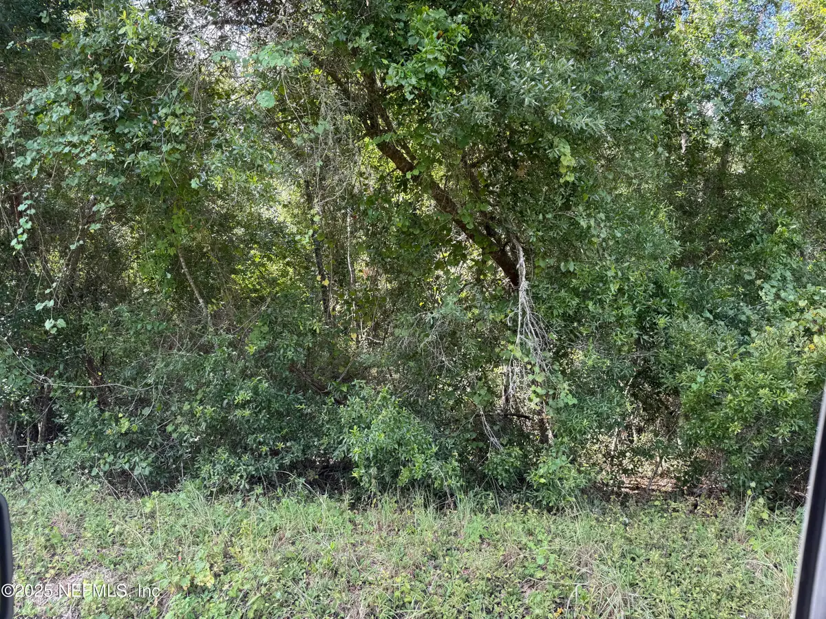 314 New Jersey Avenue, Hawthorne, FL 32640 - Image #1