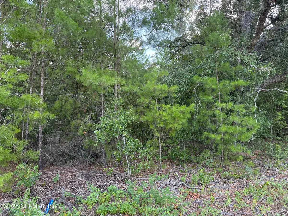 312 New Jersey Avenue, Hawthorne, FL 32640 - Image #1