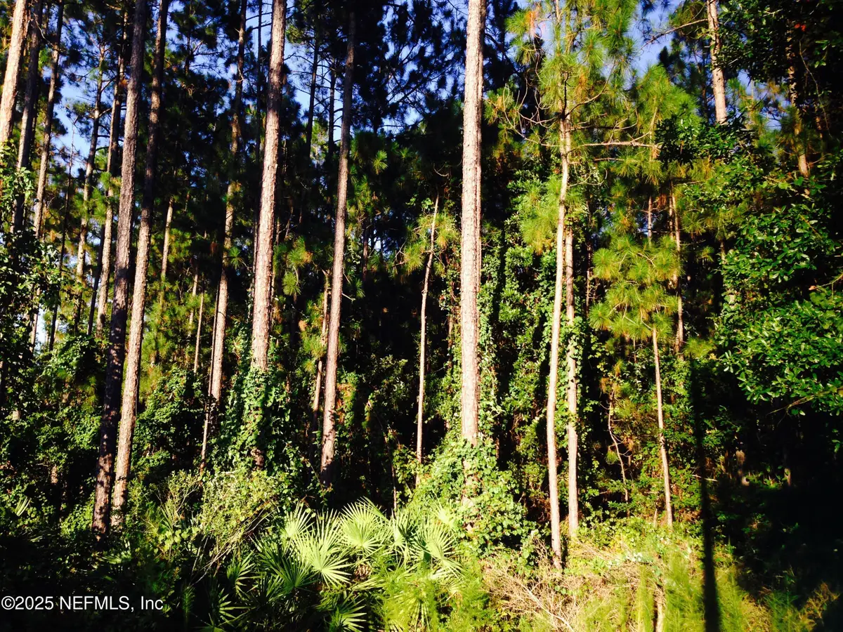 0 Fawn Lake S Drive, Jacksonville, FL 32256 - #1