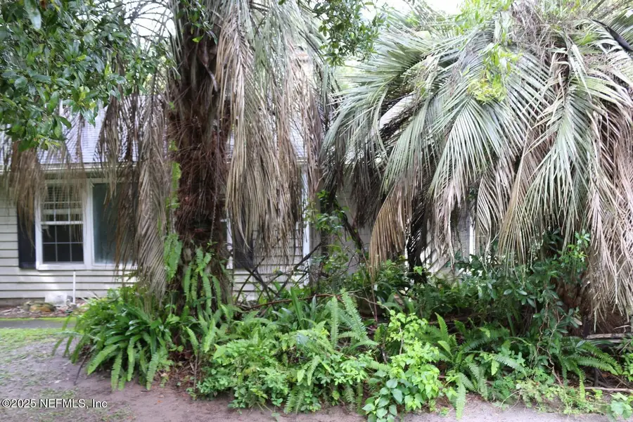 523 Pine Forest Drive, Fleming Island, FL 32003 - Image #3