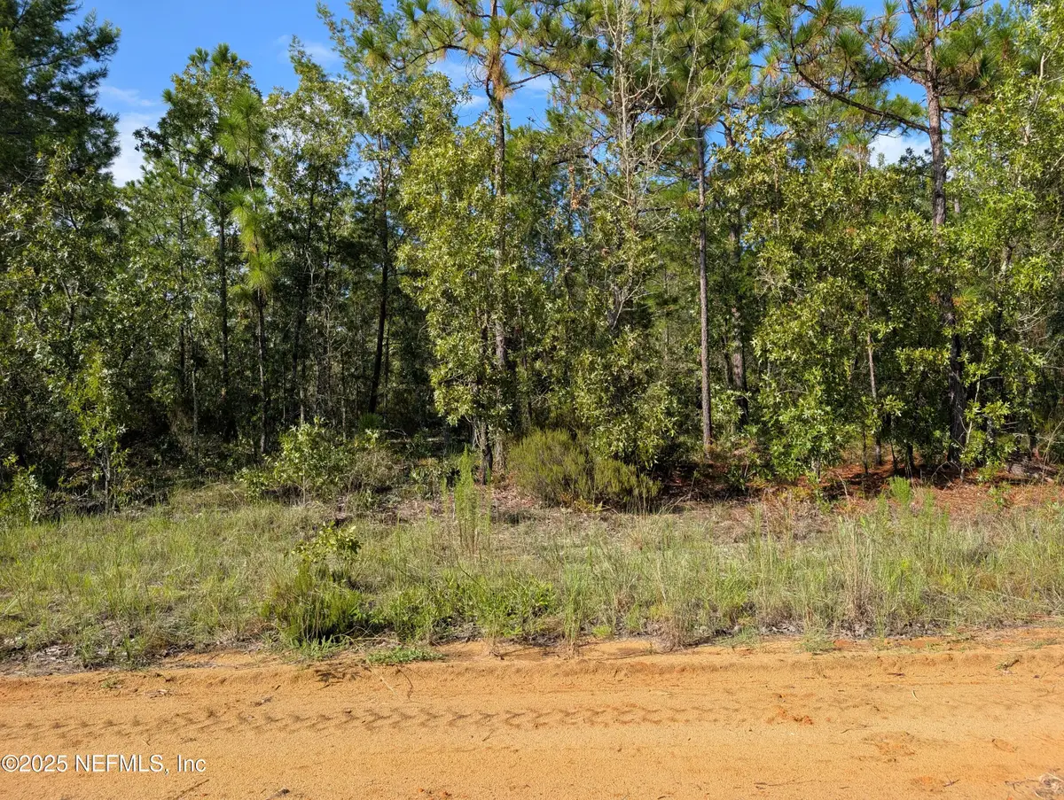 310 Lake Lucy Circle, Interlachen, FL 32148 - #1