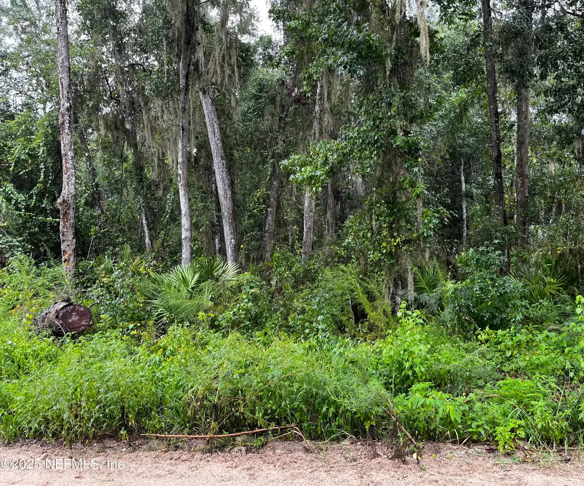 0 Woodlawn Road, Satsuma, FL 32189 - Image #1