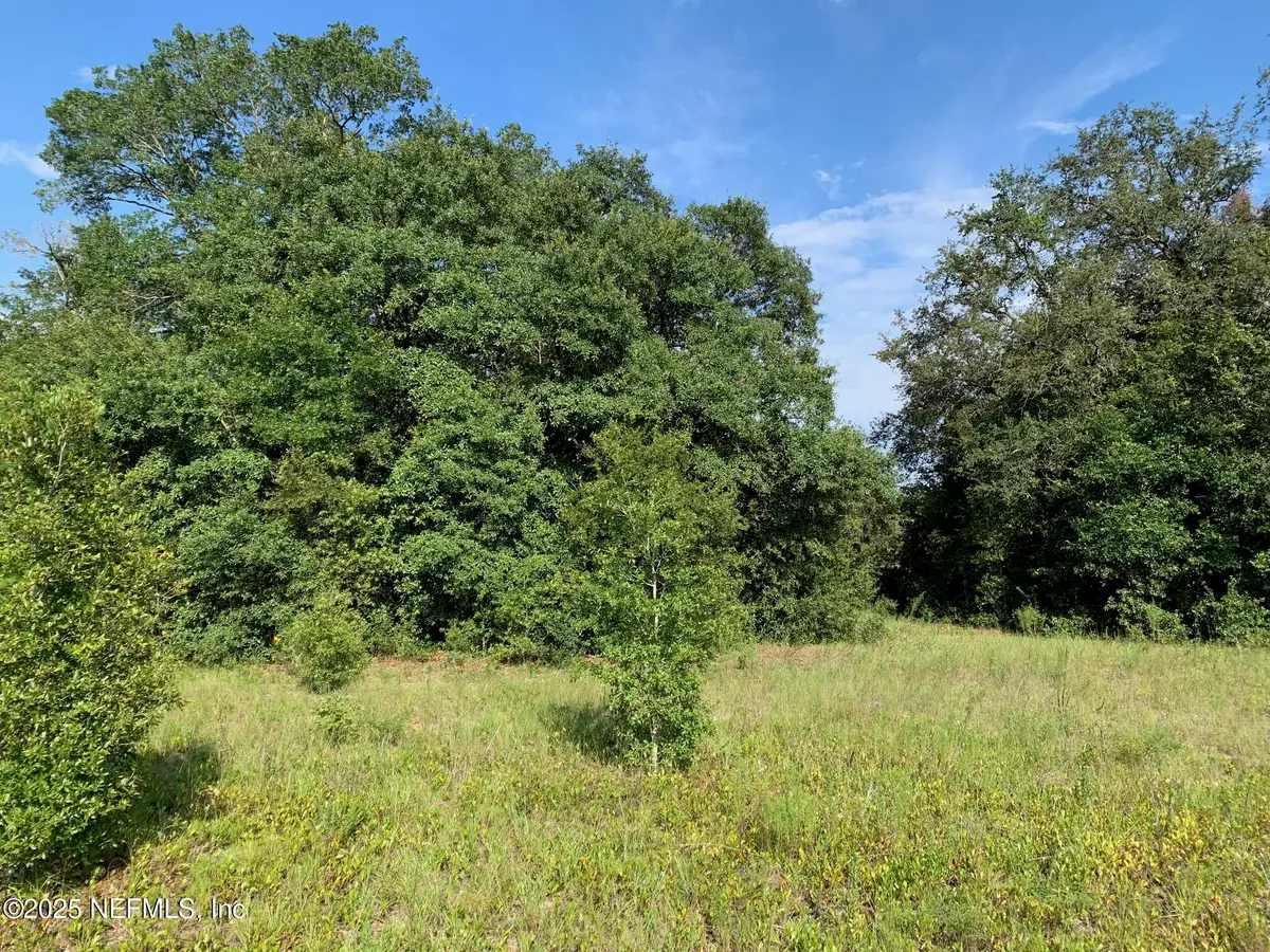 000 Hayes Drive, Interlachen, FL 32148 - Image #1