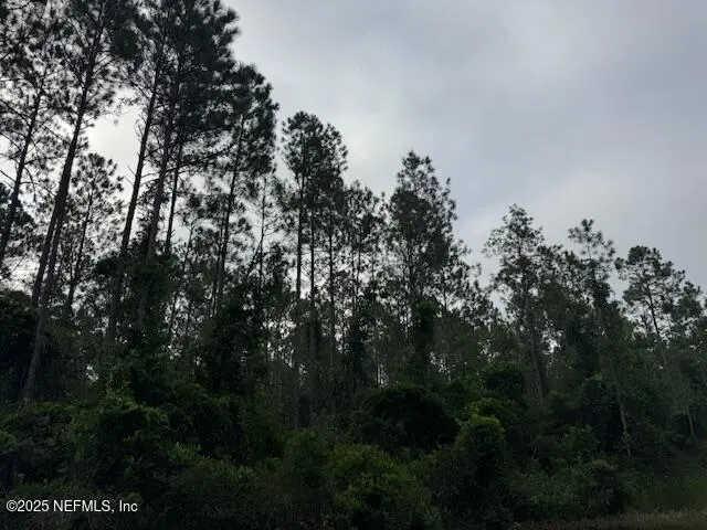 0 Baylor Avenue, Hastings, FL 32145 - Image #1