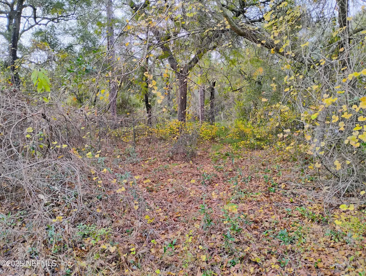 103 Antler Road, Interlachen, FL 32148 - #1