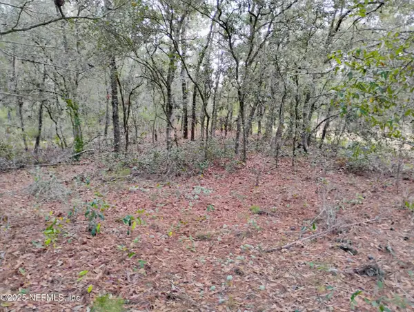 309 Wilson Drive, Interlachen, FL 32148