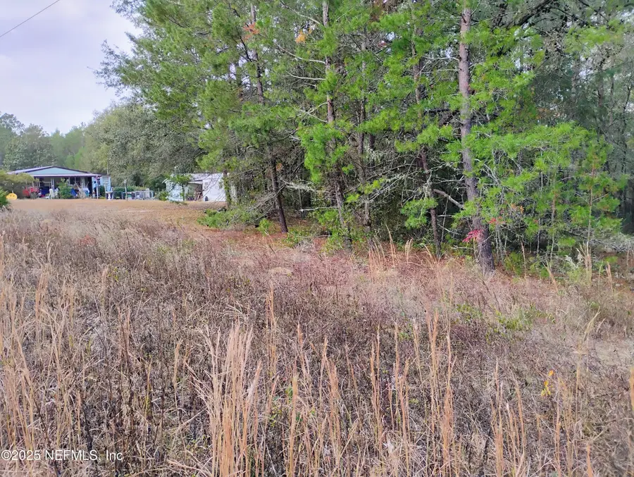 309 Wilson Drive, Interlachen, FL 32148 - #2