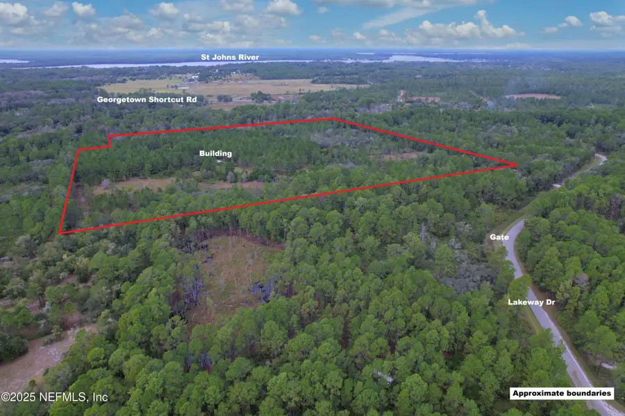 139 Lakeway Drive, Georgetown, FL 32139 - Image #3