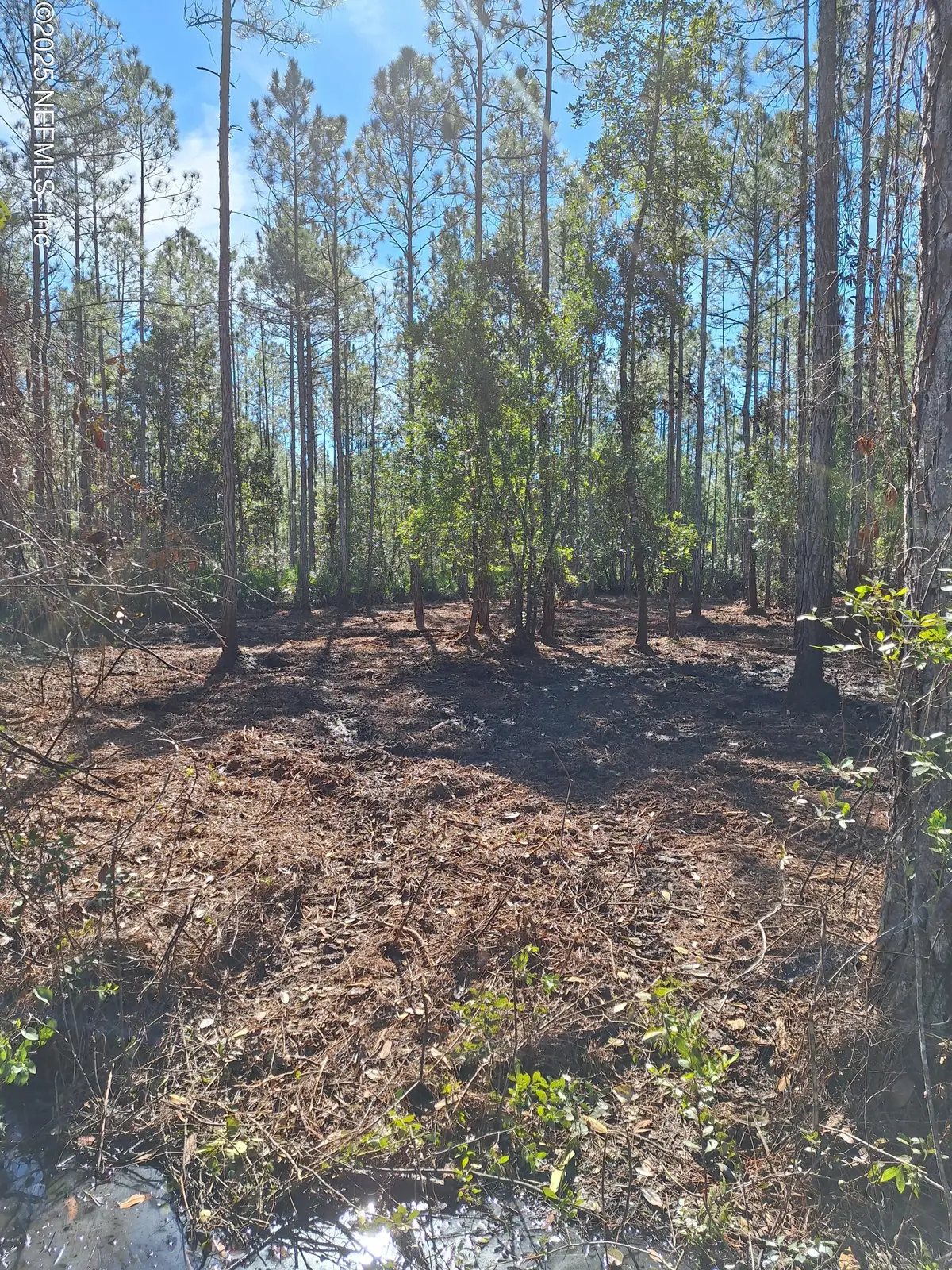 0 E Dixie Street, Palatka, FL 32177 - Image #1