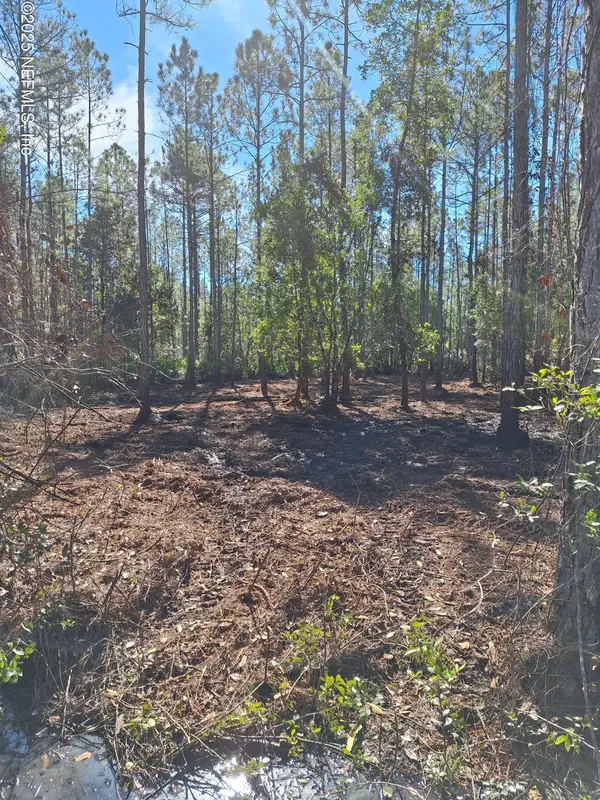 0 E Dixie Street, Palatka, FL 32177