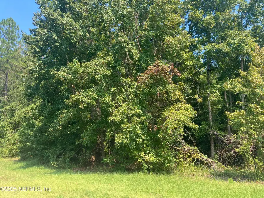 00 County Rd 217, Middleburg, FL 32234 - #2