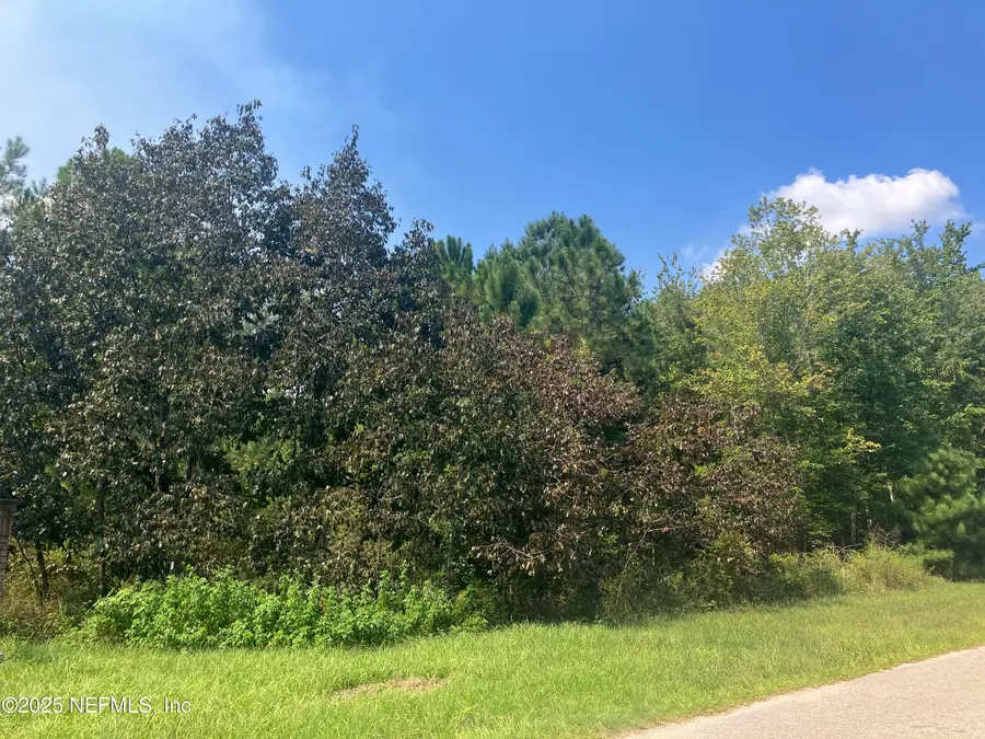 00 County Rd 217, Middleburg, FL 32234 - #3