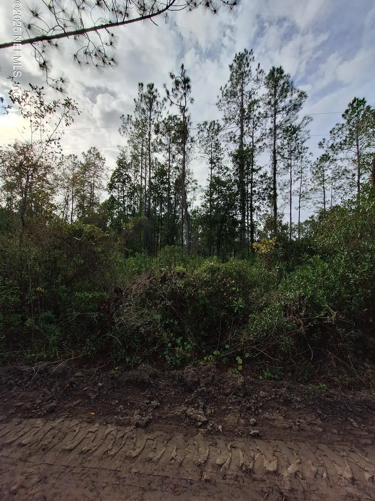 0 E St Johns Street, Palatka, FL 32177 - #1