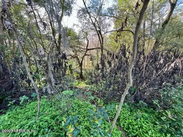 0 N River Bluff Road, Jacksonville, FL 32211 - Image #3
