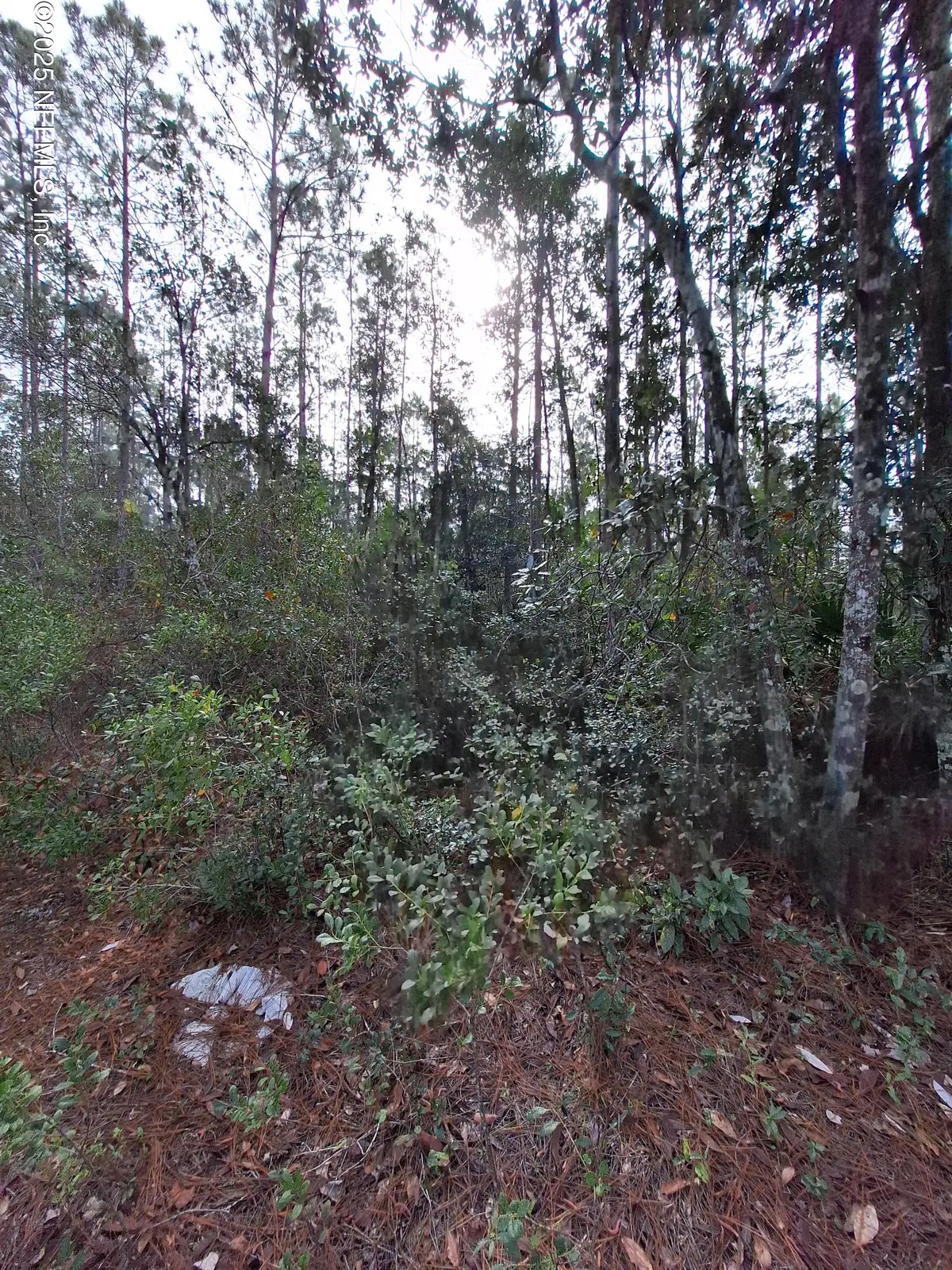 000 E St Johns Street, Palatka, FL 32177 - Image #1