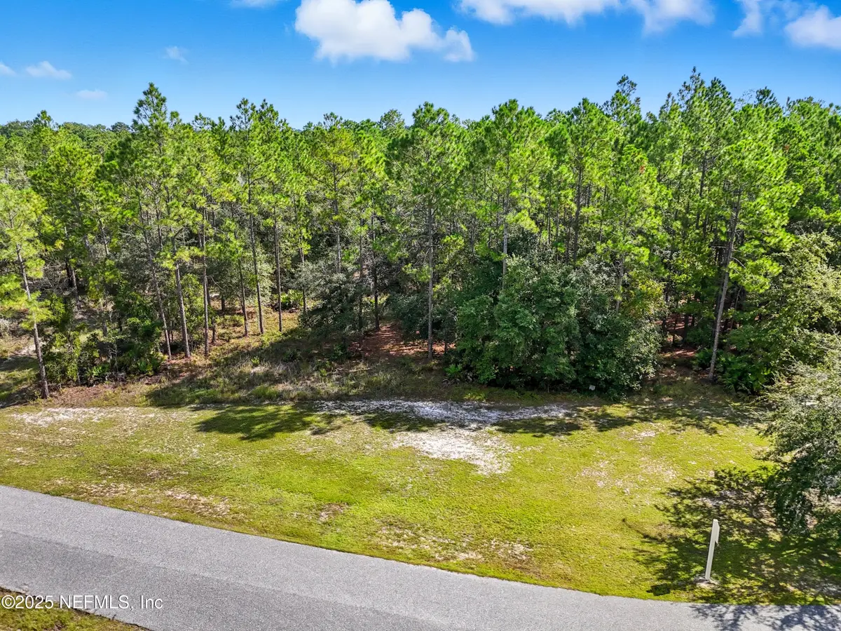 13597 Settindown Drive, Bryceville, FL 32009 - Image #1