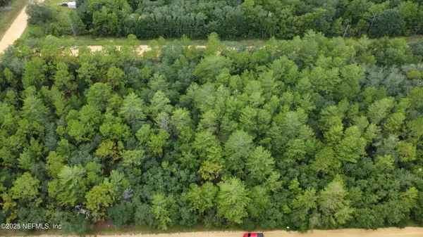 0 Louise Avenue, Interlachen, FL 32148