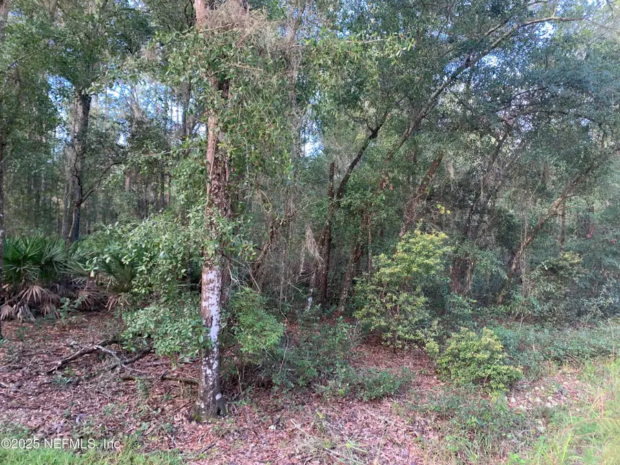 127 South Drive, Florahome, FL 32140 - Image #2