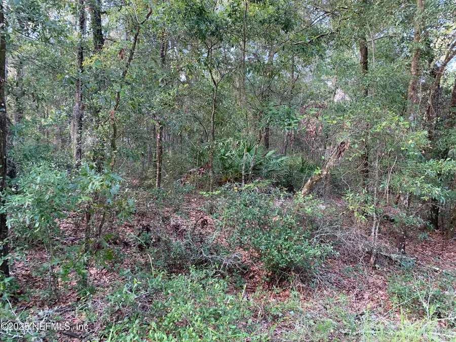 127 South Drive, Florahome, FL 32140 - Image #3