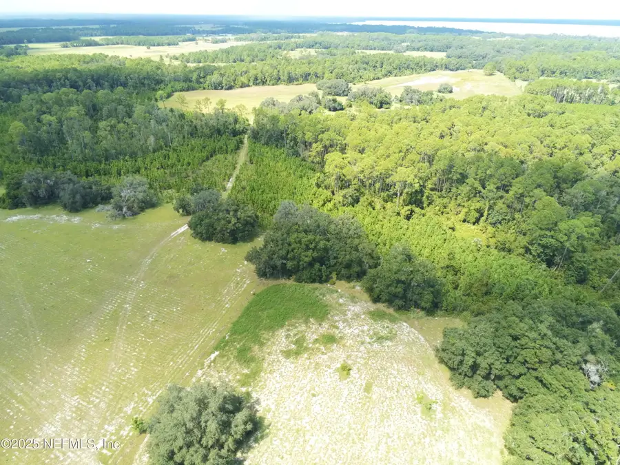 XXX Union Avenue, Crescent City, FL 32112 - Image #2