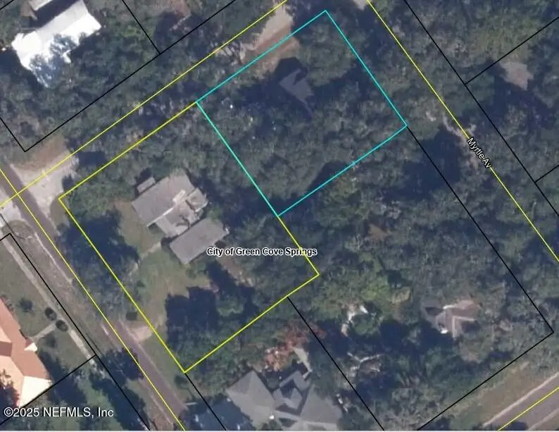 726 St Johns Avenue, Green Cove Springs, FL 32043 - Image #1